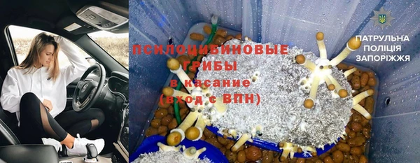 амф Алзамай